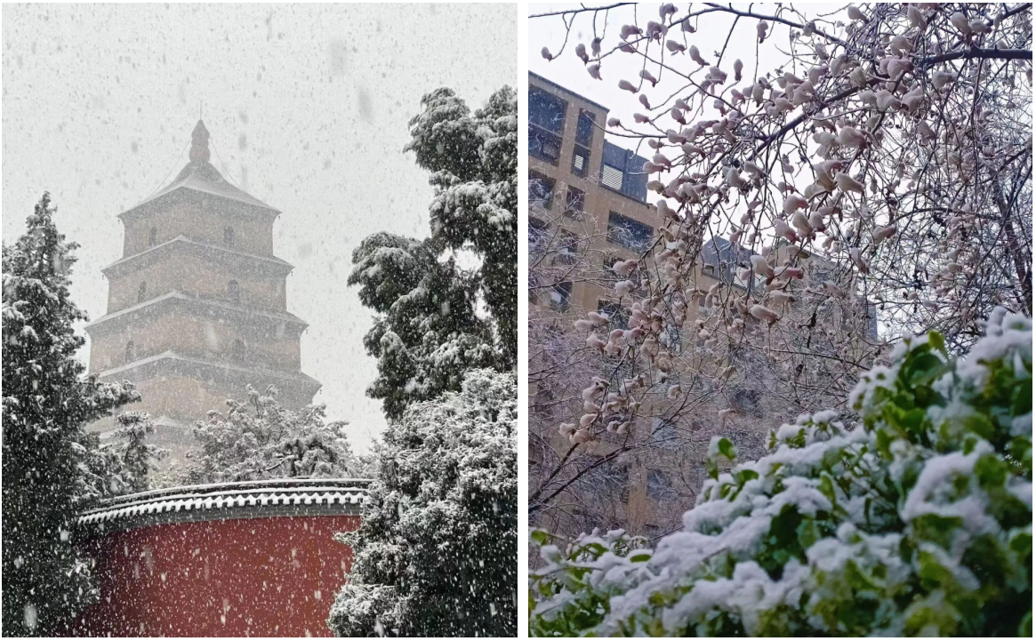 供水管道用什么管